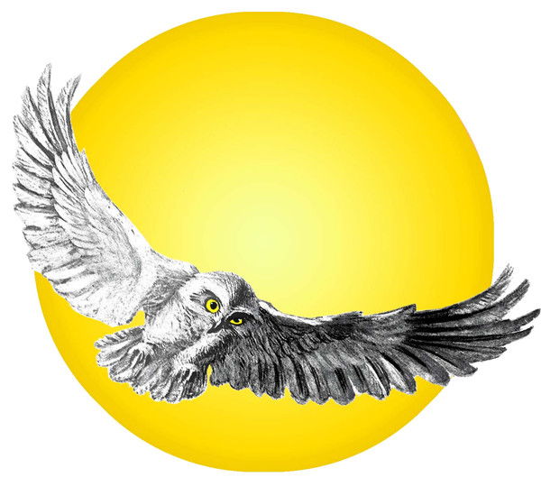 Издательство Буква Статейнова