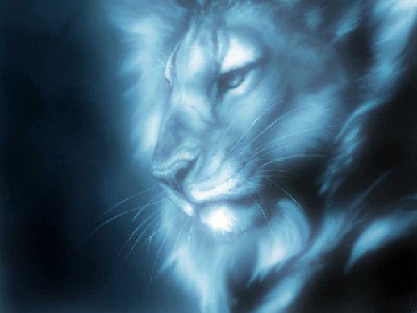 Никита Юрко