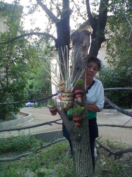 Светлана Давыденко