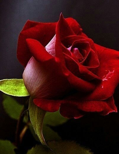 Гульжан Каленова