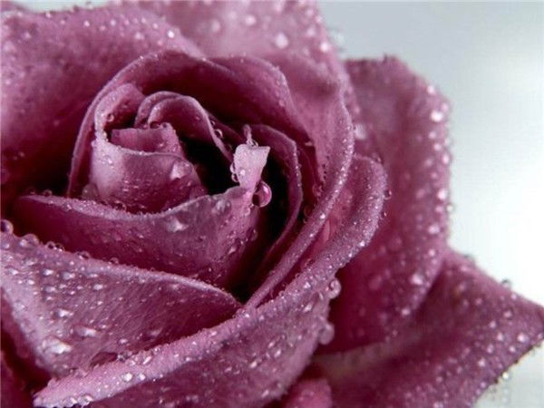 Бильдебаева Л.