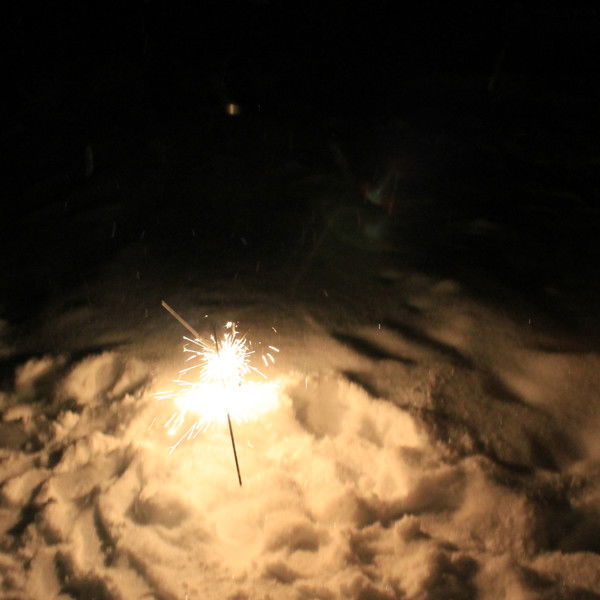 Дмитрий Ершов