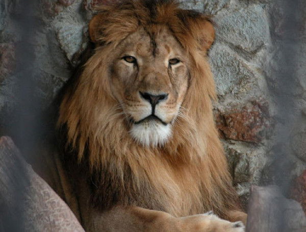 Ильхом Рахматов