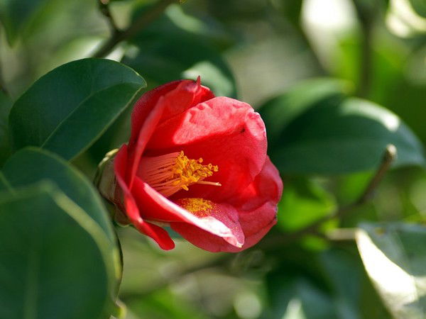 Светлана Ильинская