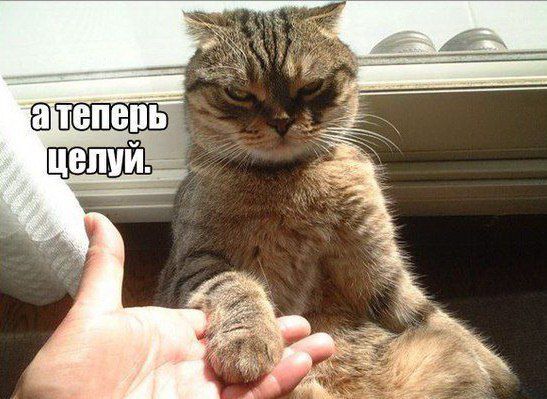 Сергей Потанин