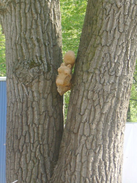 Виктория Хохлова