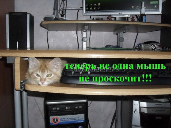 Игорь Землянов