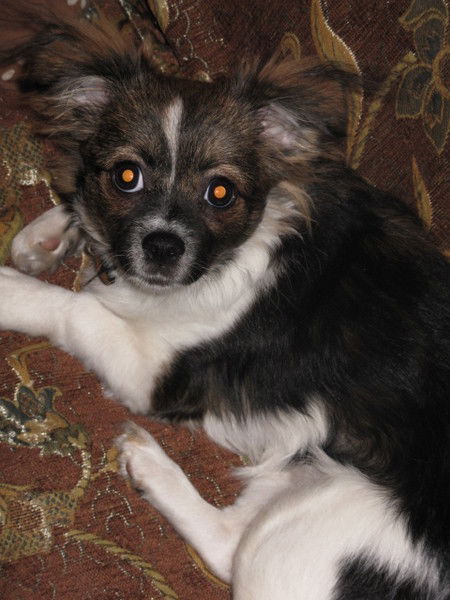 Роман Колпаков