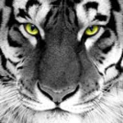 Георгий Качмазов