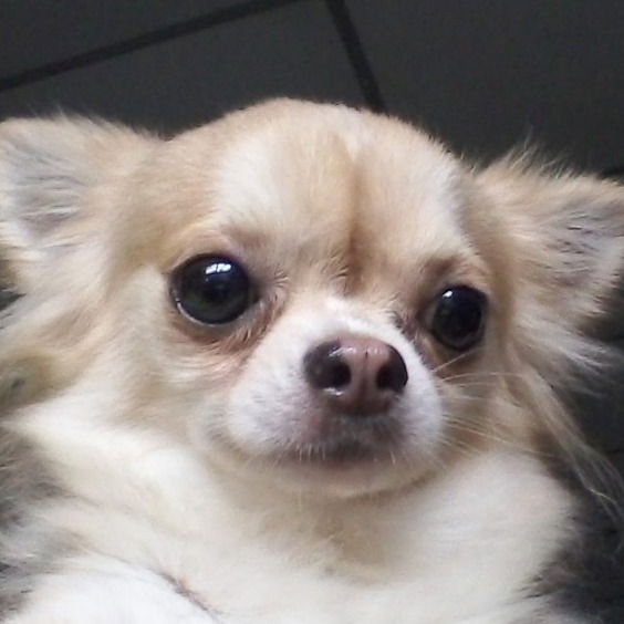 Татьяна Варежкина