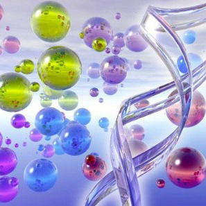 Сергей Неизвеснов