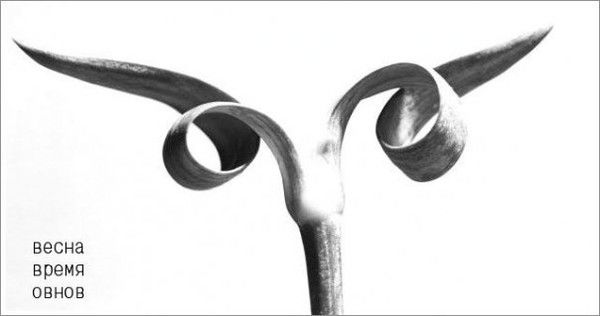 Аксенья Грицкан