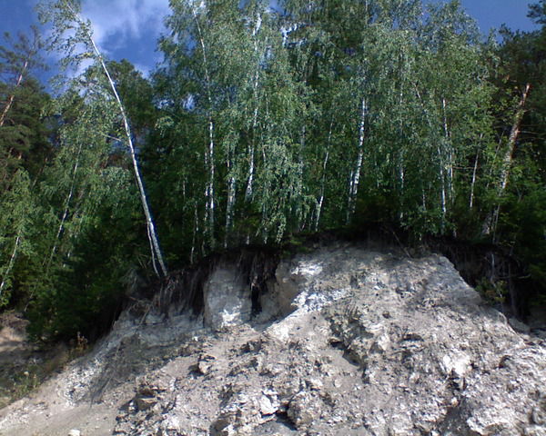 Юрий Бортников