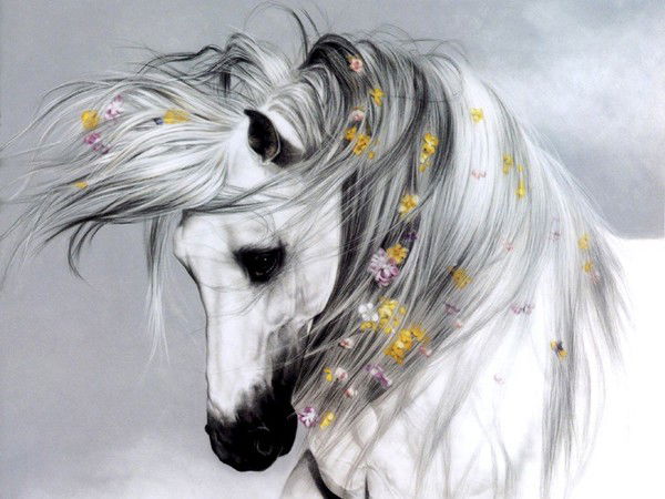 Ольга Конфедератова