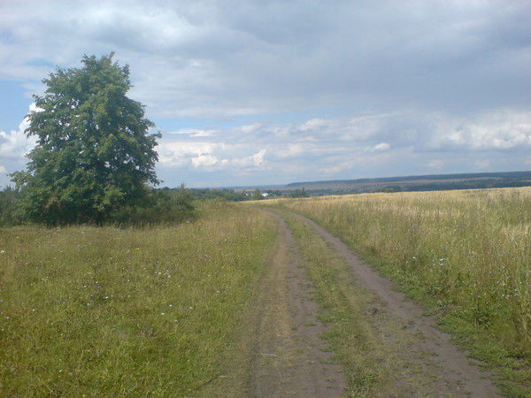 Денис Денисов