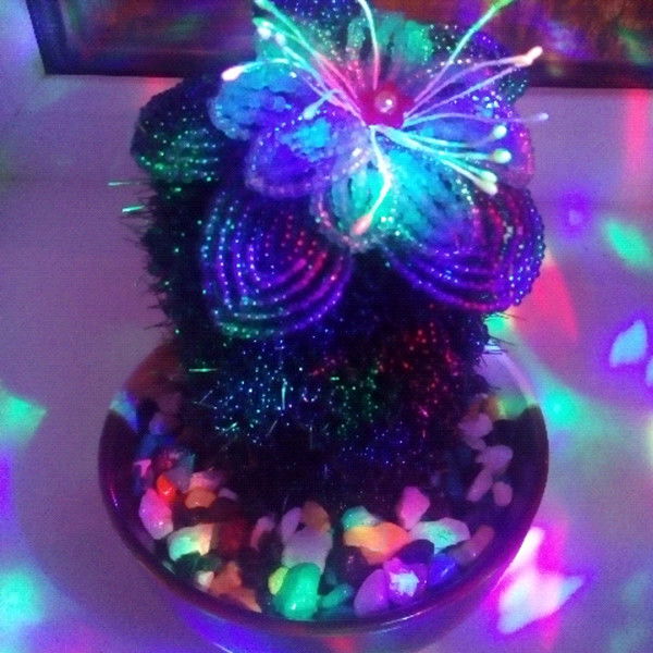 Ольга Сурядная