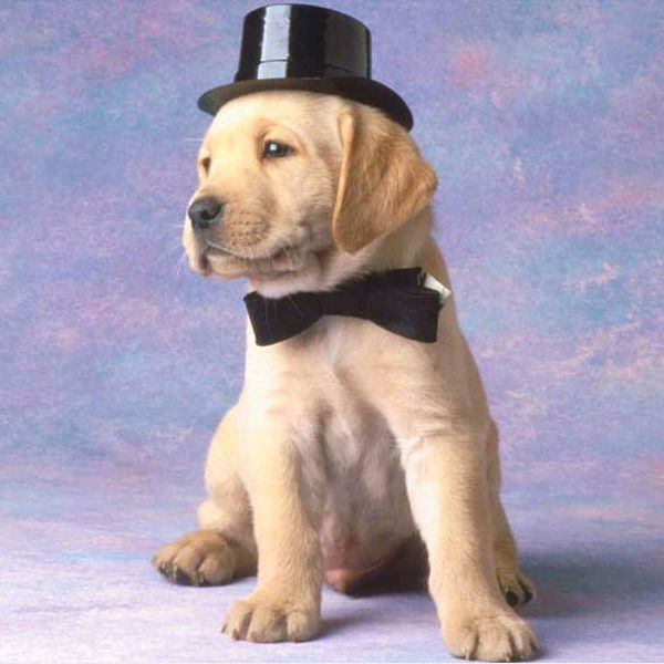 Николай Анатольевич