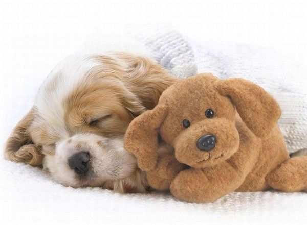 Наталия Иванова