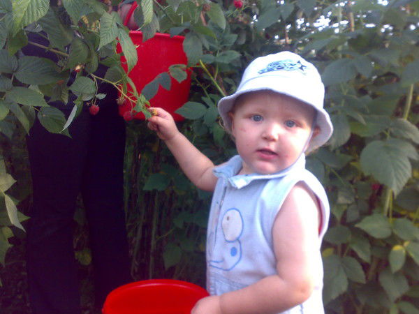 Светлана Власова