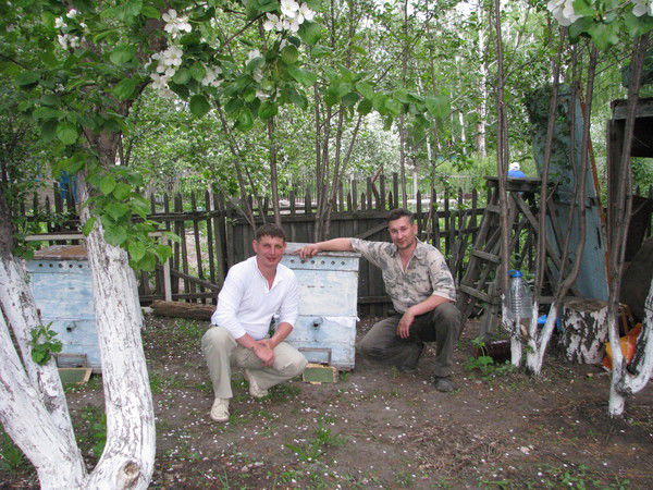 Александр Городецкий