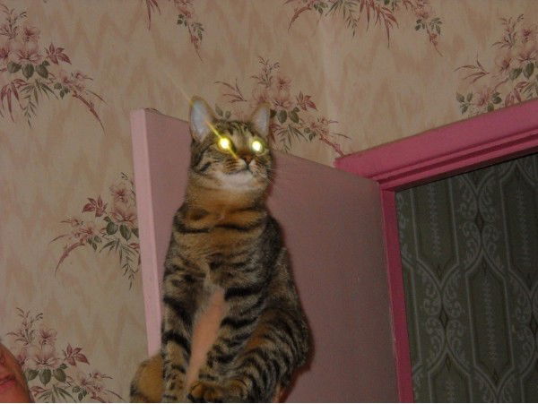 Наталья Васильева