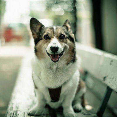 Глеб Сазонов