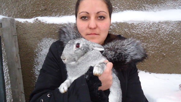 Светлана Колесникова