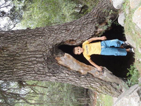 Владик Уткин