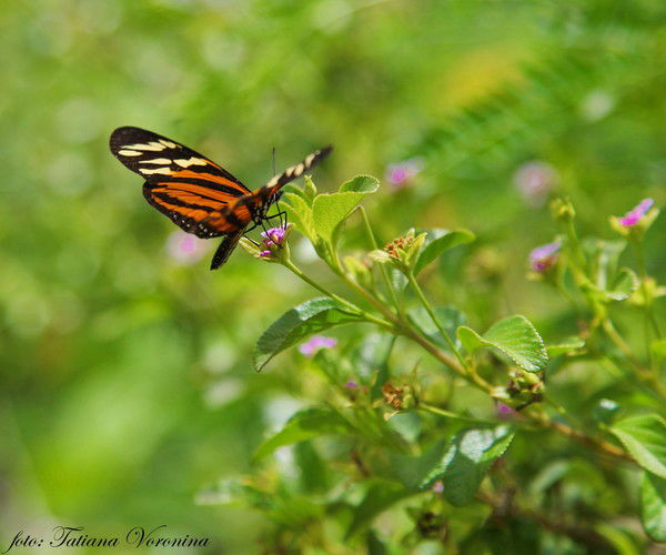 Галима Иманбаева