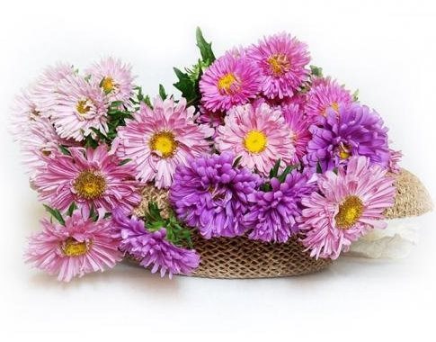 Ммс Г.кондопоги