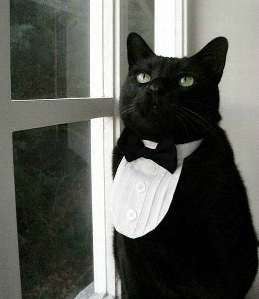 Артур Конысов