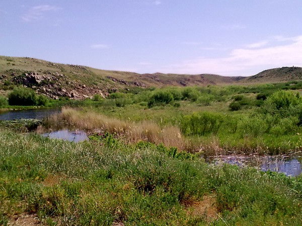 Сергей Трегуб