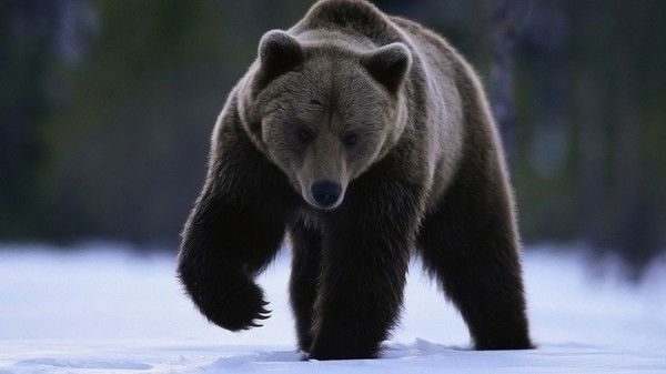 Илья Дармаченок