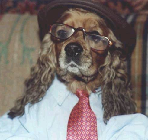 Николай Иващенко