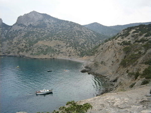 Светлана Александрова