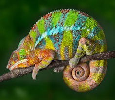 Александр Бирюков