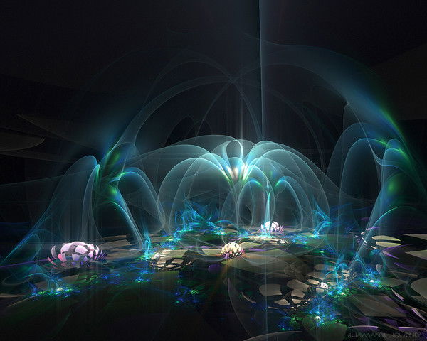 Женя Мандер