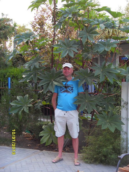 Игорь Ермачков