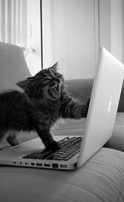 Юлия Демлер