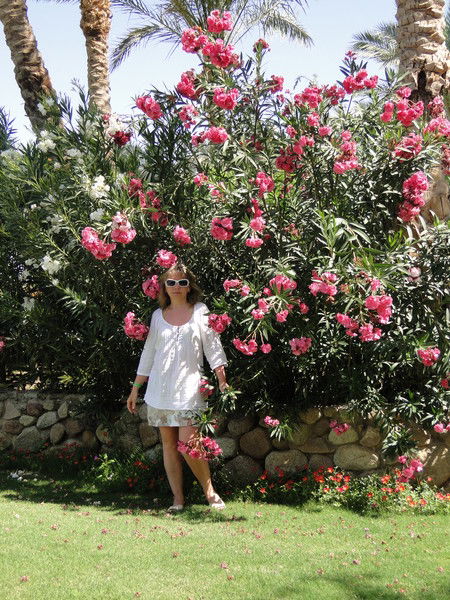 Наталья Пикалова