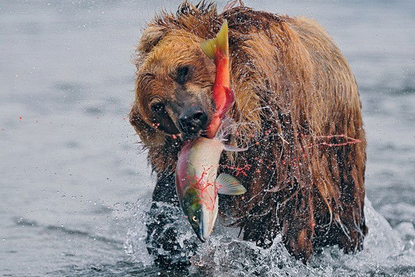 Сергей Рожков