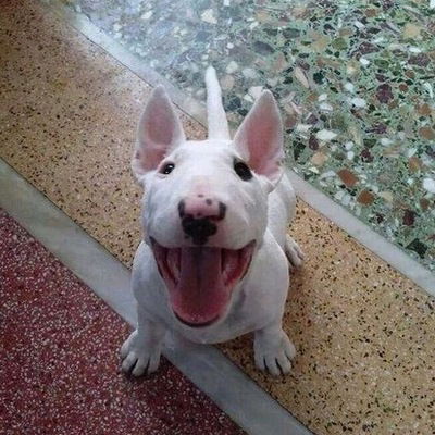 Егор Анисимов