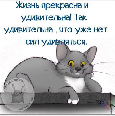 Полина Петрова