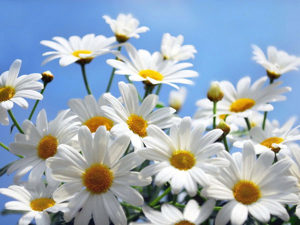 Альбина Мухаметдинова