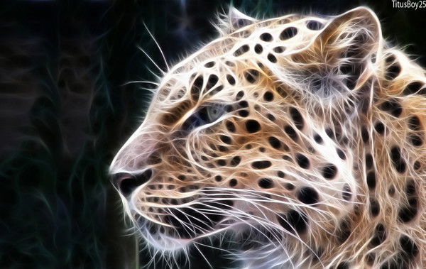 Евгений Шинкарёв