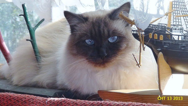 Ксения Ципанова