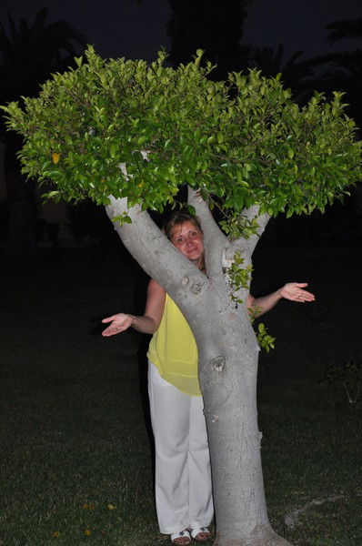 Наталья Шахно