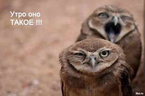 Сергей Богданов