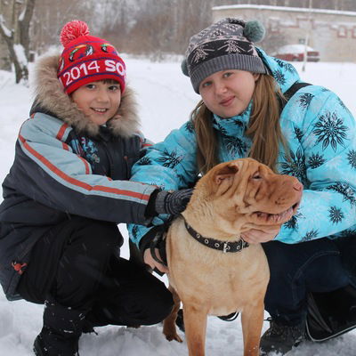 Елена Бизяева