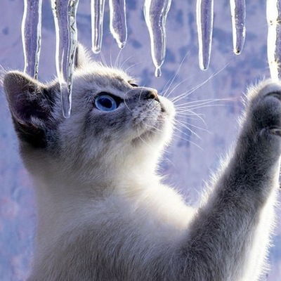 Наталья Разыграева